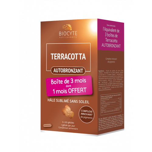 BIOCYTE TERRACOTTA AUTOBROZANT - 90 gélules